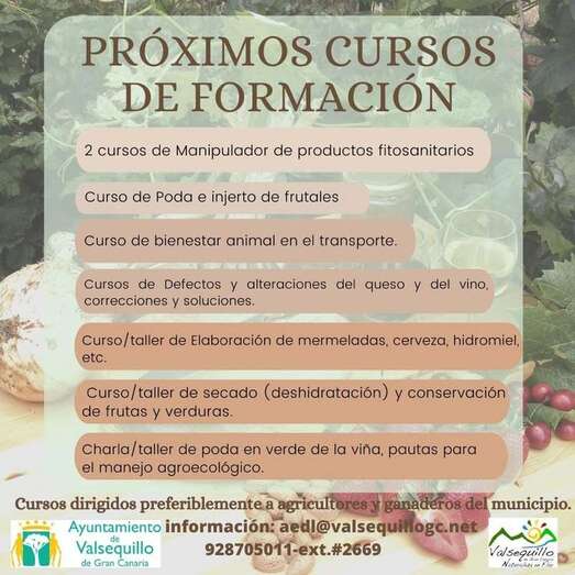 Ayuntamiento y Cabildo financian esta iniciativa / TA